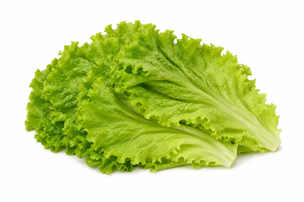 Extra Lechuga